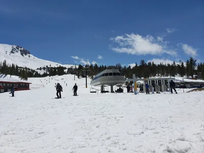 20190517_135507 (Large).jpg